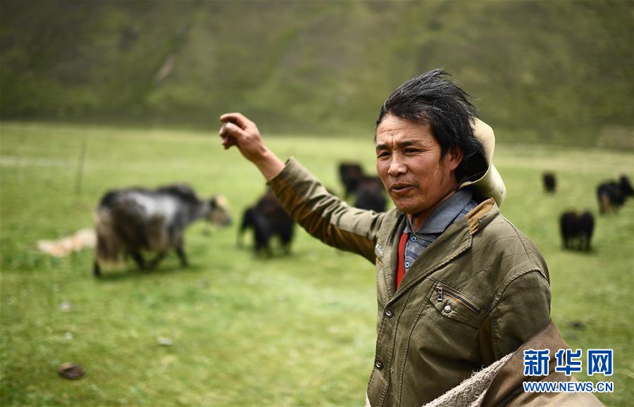 (新華全媒頭條·決戰(zhàn)決勝脫貧攻堅(jiān)·圖文互動(dòng))(6)在青山綠水間跨越千年——青海探索生態(tài)脫貧之路報(bào)告