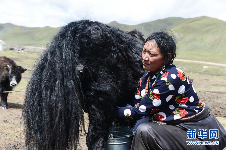 (新華全媒頭條·決戰(zhàn)決勝脫貧攻堅(jiān)·圖文互動(dòng))(4)在青山綠水間跨越千年——青海探索生態(tài)脫貧之路報(bào)告