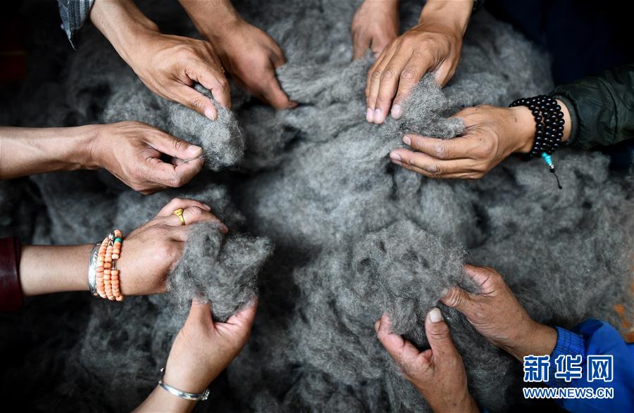 (新華全媒頭條·決戰(zhàn)決勝脫貧攻堅(jiān)·圖文互動(dòng))(8)在青山綠水間跨越千年——青海探索生態(tài)脫貧之路報(bào)告