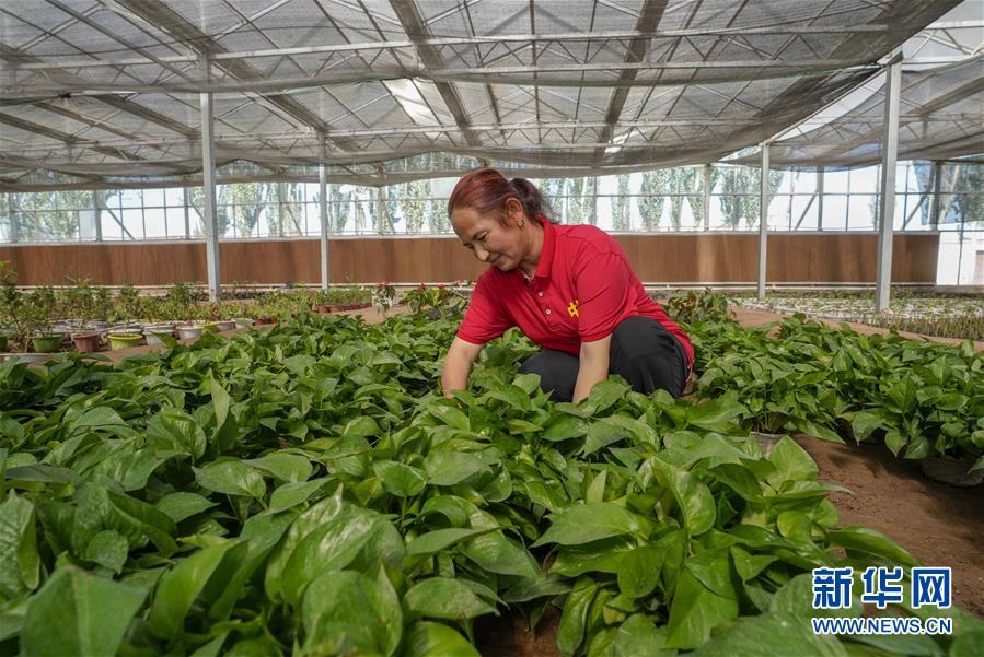 (新華全媒頭條·圖文互動)(11)旗引天山南北 譜寫發(fā)展新篇——以習(xí)近平同志為核心的黨中央關(guān)心新疆工作紀(jì)實(shí)