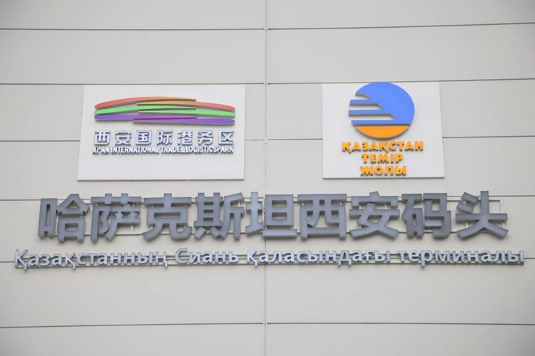 【首席觀察⑦】“開(kāi)”出陜西高質(zhì)量發(fā)展“新枝丫”_fororder_圖片9